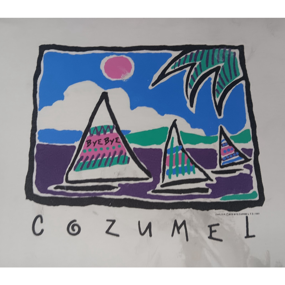Vintage 80s Cozumel Adult XL T-shirt Single Stitch Tee 1989 Bye-Bye Distressed - Picture 3 of 12